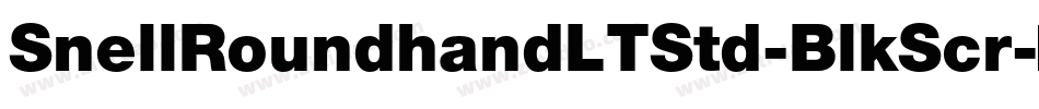 SnellRoundhandLTStd-BlkScr字体转换