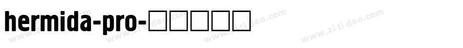 hermida-pro字体转换