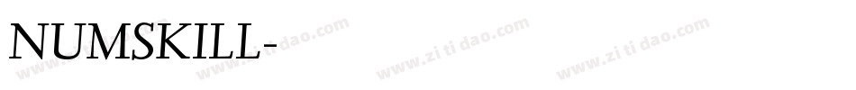 NUMSKILL字体转换