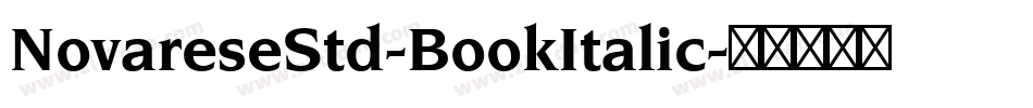 NovareseStd-BookItalic字体转换