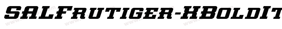 SALFrutiger-XBoldItal字体转换
