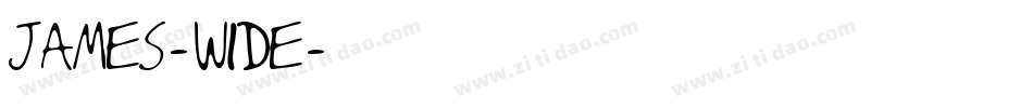 James-Wide字体转换