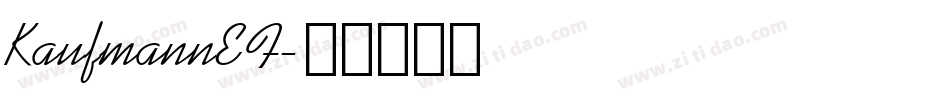 KaufmannEF字体转换