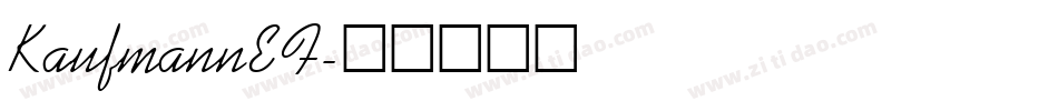 KaufmannEF字体转换