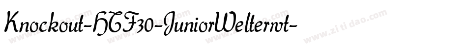 Knockout-HTF30-JuniorWelterwt字体转换