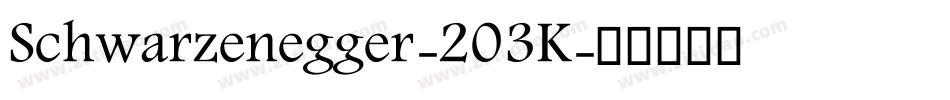 Schwarzenegger-203K字体转换