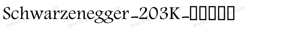 Schwarzenegger-203K字体转换