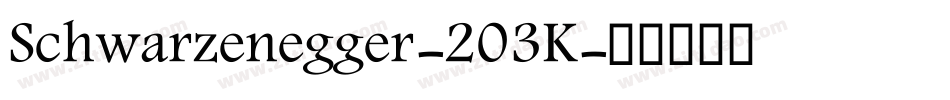 Schwarzenegger-203K字体转换