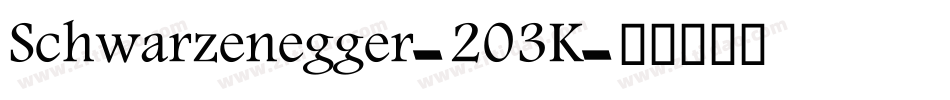 Schwarzenegger-203K字体转换