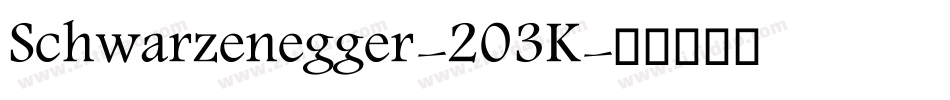 Schwarzenegger-203K字体转换