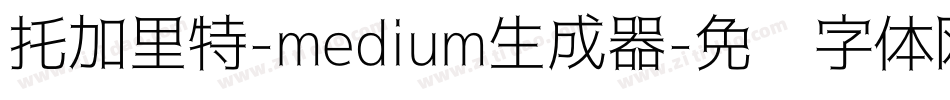 托加里特-medium生成器字体转换