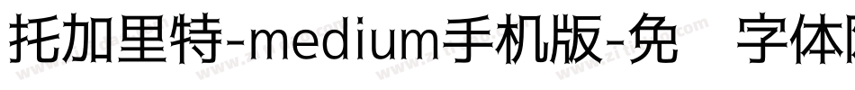 托加里特-medium手机版字体转换