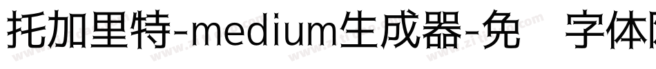 托加里特-medium生成器字体转换