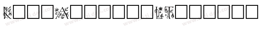KochAntiquaLT字体转换