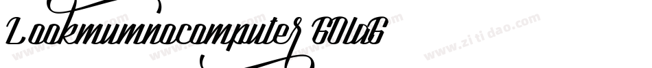 Lookmumnocomputer-GOlaG字体转换