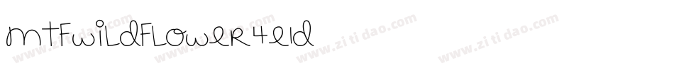 MtfWildflower-4e1D字体转换