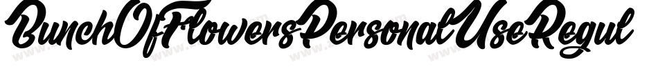 BunchOfFlowersPersonalUseRegular-nOvM字体转换