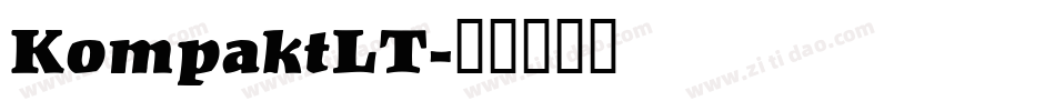 KompaktLT字体转换