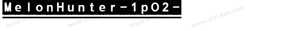 MelonHunter-1pO2字体转换