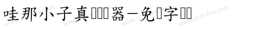 哇那小子真帅转换器字体转换