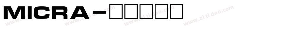 Micra字体转换