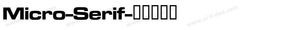 Micro-Serif字体转换