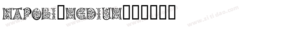 Napoli-Medium字体转换