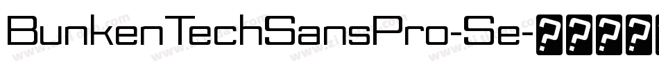 BunkenTechSansPro-Se字体转换