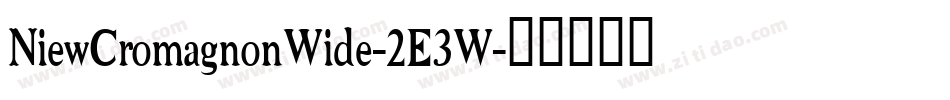 NiewCromagnonWide-2E3W字体转换