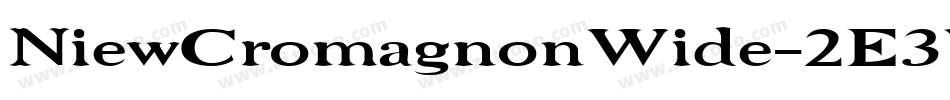 NiewCromagnonWide-2E3W字体转换