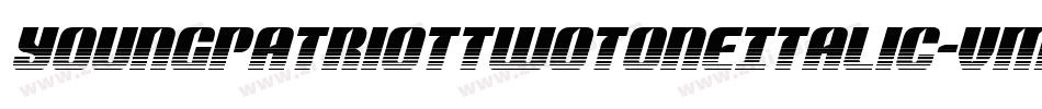 YoungPatriotTwoToneItalic-vm3yD字体转换