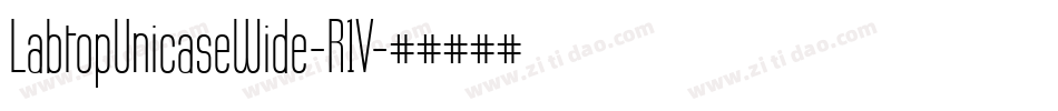 LabtopUnicaseWide-R1V字体转换