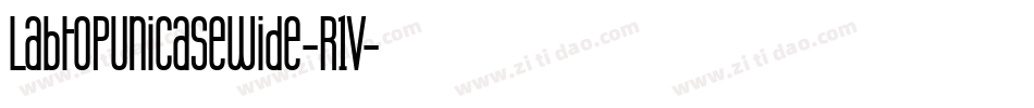 LabtopUnicaseWide-R1V字体转换