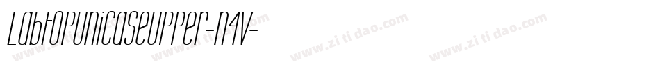 LabtopUnicaseUpper-n4V字体转换