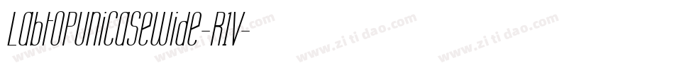 LabtopUnicaseWide-R1V字体转换
