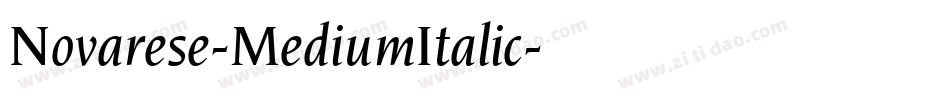 Novarese-MediumItalic字体转换
