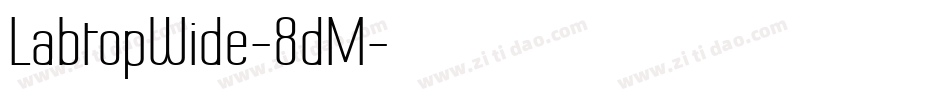 LabtopWide-8dM字体转换
