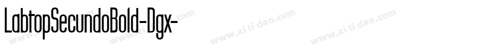 LabtopSecundoBold-Dgx字体转换