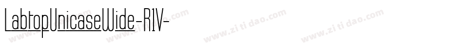 LabtopUnicaseWide-R1V字体转换