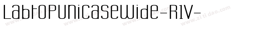 LabtopUnicaseWide-R1V字体转换