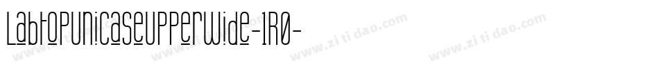 LabtopUnicaseUpperWide-1R0字体转换