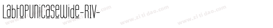 LabtopUnicaseWide-R1V字体转换