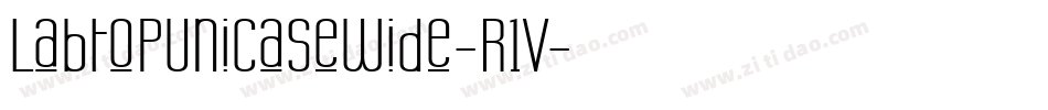 LabtopUnicaseWide-R1V字体转换