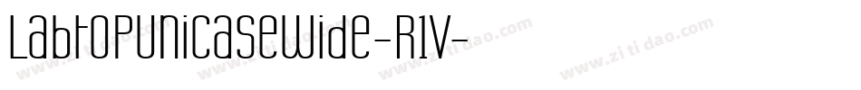 LabtopUnicaseWide-R1V字体转换