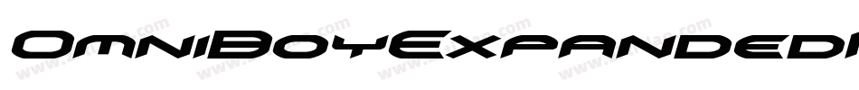 OmniBoyExpandedItalic-8M87B字体转换