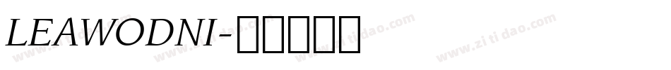 LEAWODNI字体转换