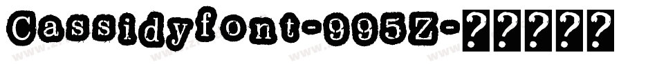 Cassidyfont-995Z字体转换