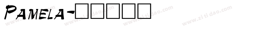 Pamela字体转换