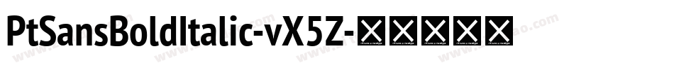 PtSansBoldItalic-vX5Z字体转换