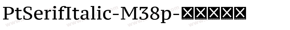 PtSerifItalic-M38p字体转换